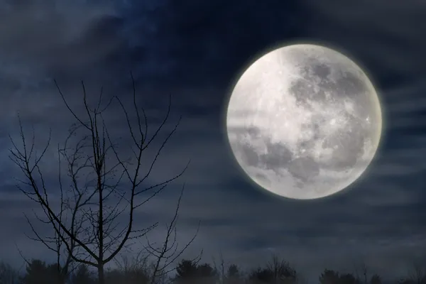 Noite assustadora com lua cheia — Fotografia de Stock