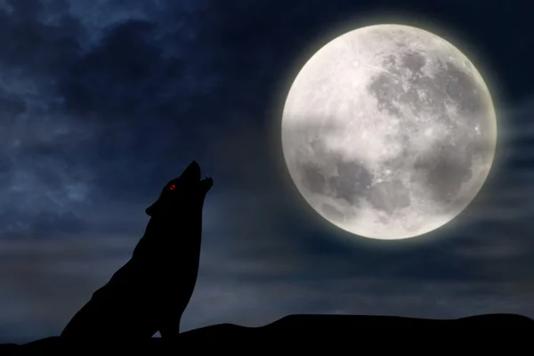 Wolf heult bei Vollmond — Stockfoto