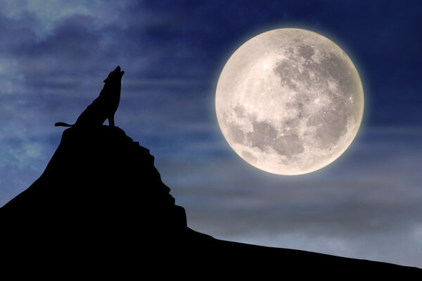 Wolf howling at full moon 1