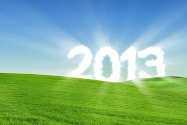 Yeni yıl 2013