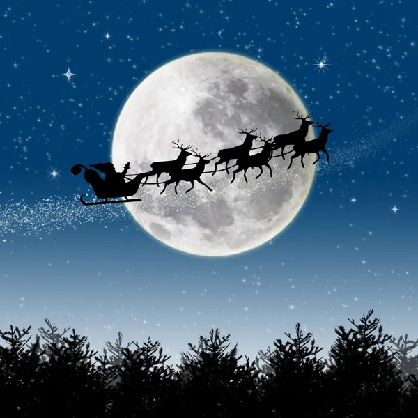 Santa Reindeer Sleigh — Stock Photo, Image