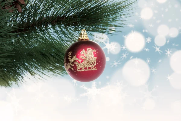 Christmas bauble hanging on pine tree — Stock Photo, Image