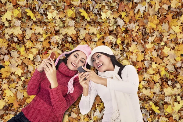 Mulheres atraentes ao longo da folhagem de outono — Fotografia de Stock