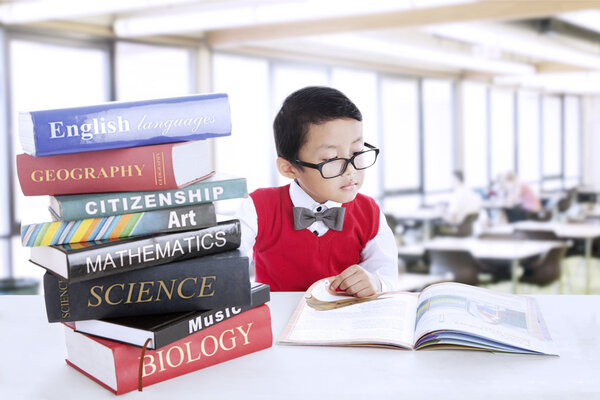 Boy study literature books at library