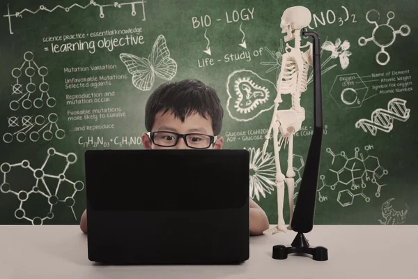 Asian boy studying with laptop — Stock Photo, Image