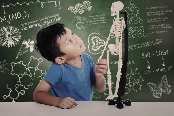 Азиатский мальчик со скелетом человека — стоковое фото