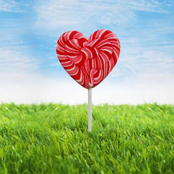 Big heart lollipop — Stock Photo, Image