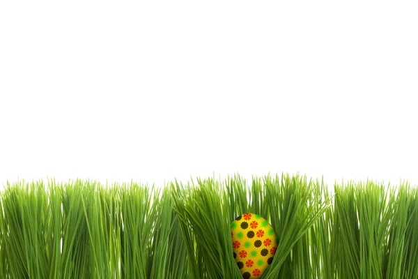 Paasei achter gras geïsoleerd — Stockfoto