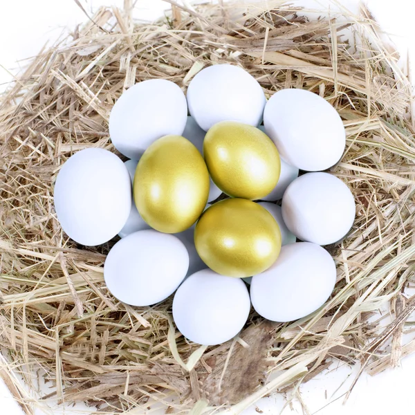 Drei goldene Eier im Nest — Stockfoto