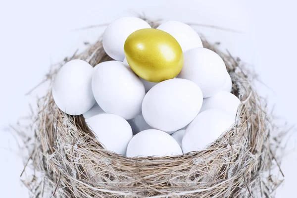金の卵をユニークな投資 — ストック写真