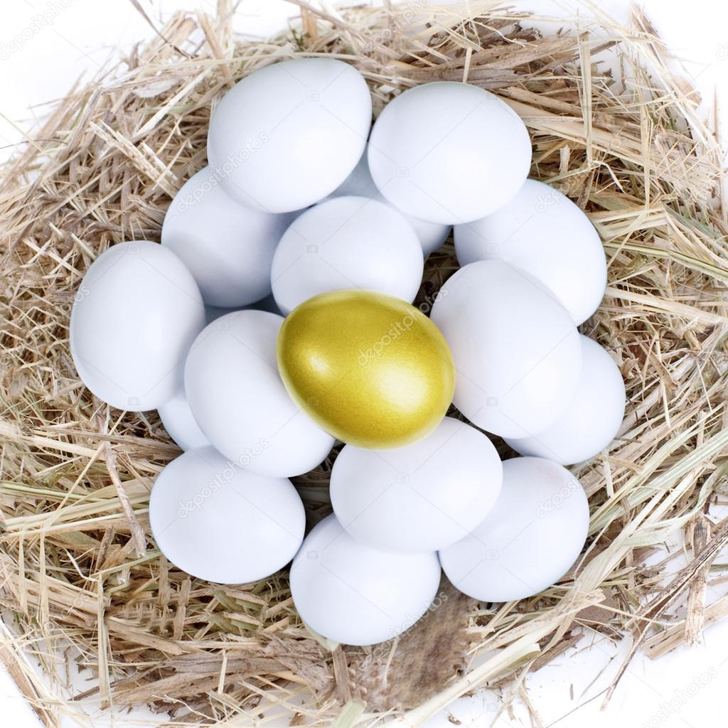 Gold investment eggs nest