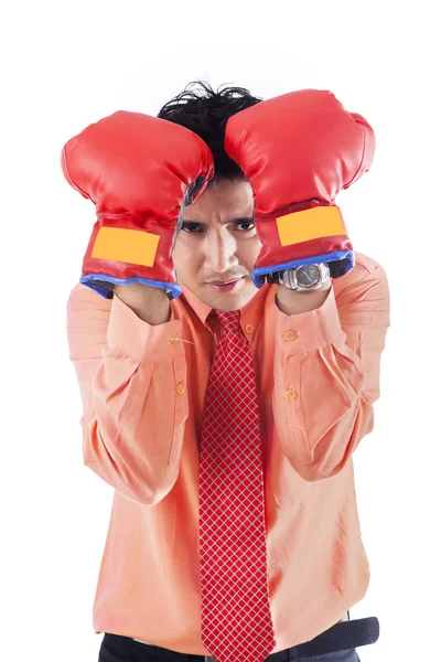 Uomo d'affari con guanti da boxe isolato — Foto Stock
