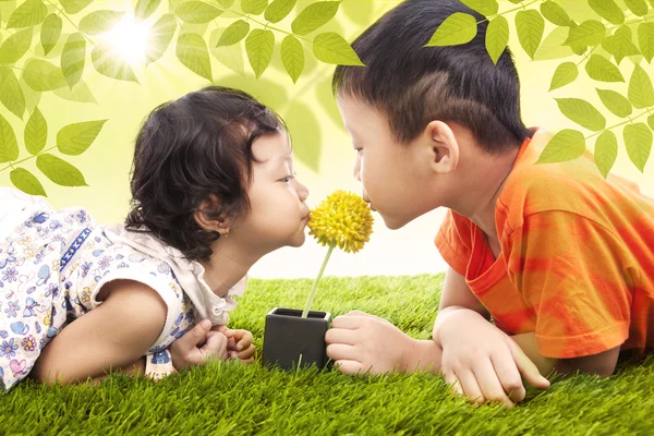 Całowanie żółty kwiat razem w parku — Zdjęcie stockowe