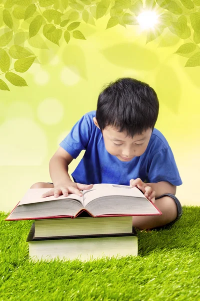 Niño leyendo libro sobre hierba — Foto de Stock