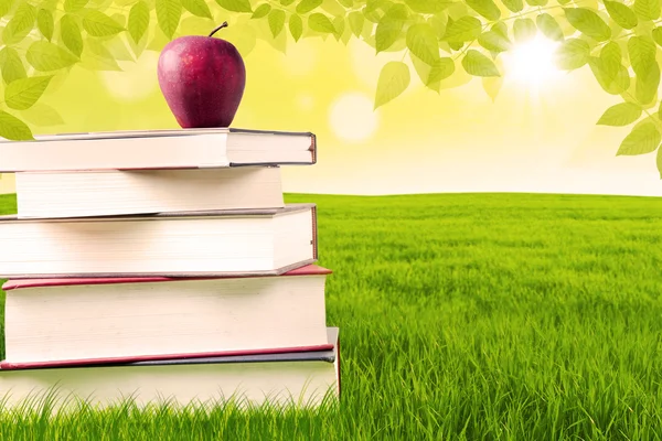 Jabłko i Księga wiedzy w parku — Zdjęcie stockowe