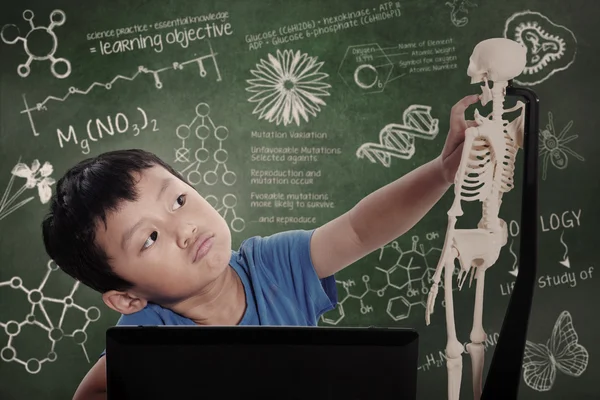 Маленький хлопчик вивчає анатомію людини — стокове фото