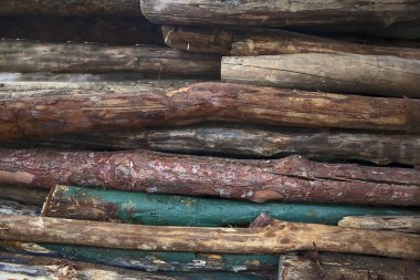 woods'ın yakın çekim yığını