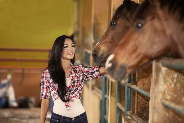 Glücklicher Jockey-Reiter mit Pferden — Stockfoto
