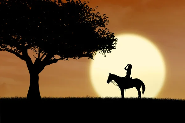 Horse rider silhouette at sunset in park — Stock Photo, Image