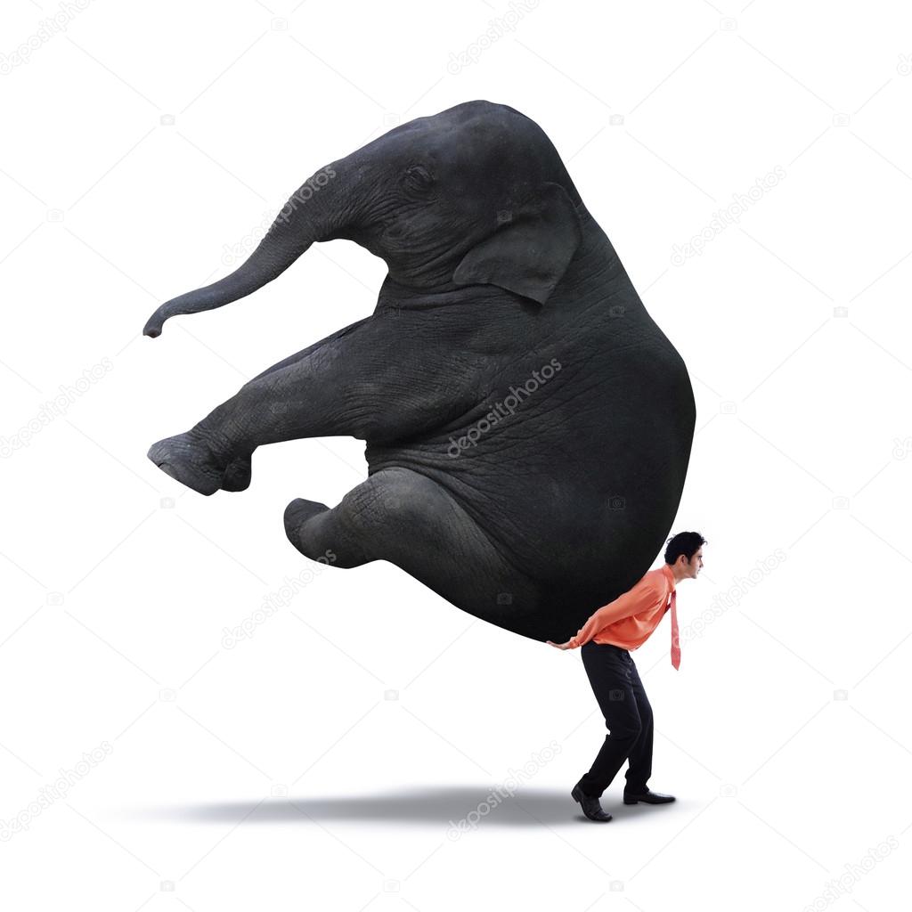 Businessman lifting heavy elephant