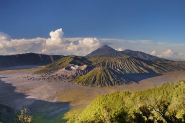 korku veren mount bromo, Endonezya