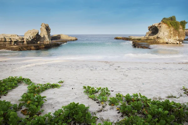 Úžasná krajina oceánu — Stock fotografie