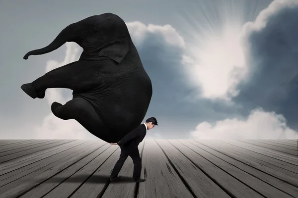 Empresário levar elefante por si mesmo sob o céu azul — Fotografia de Stock