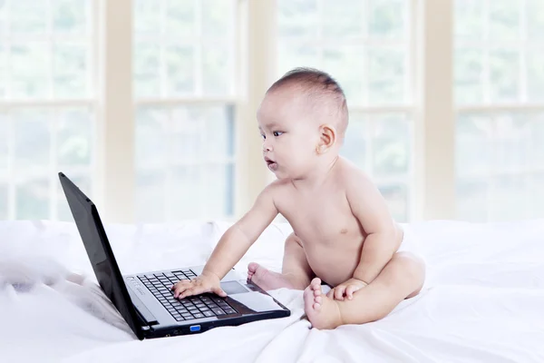 Baby arbeitet am Laptop — Stockfoto