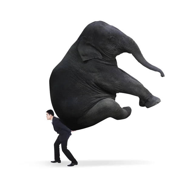 Businessman carrying heavy elephant — Stock Photo, Image