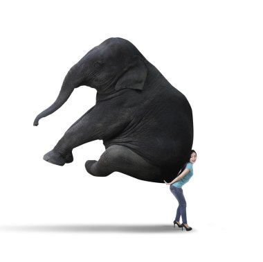 Woman carrying big elephant - isolated clipart