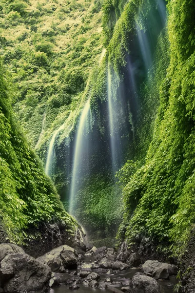 Красивий тропічний водоспад — стокове фото