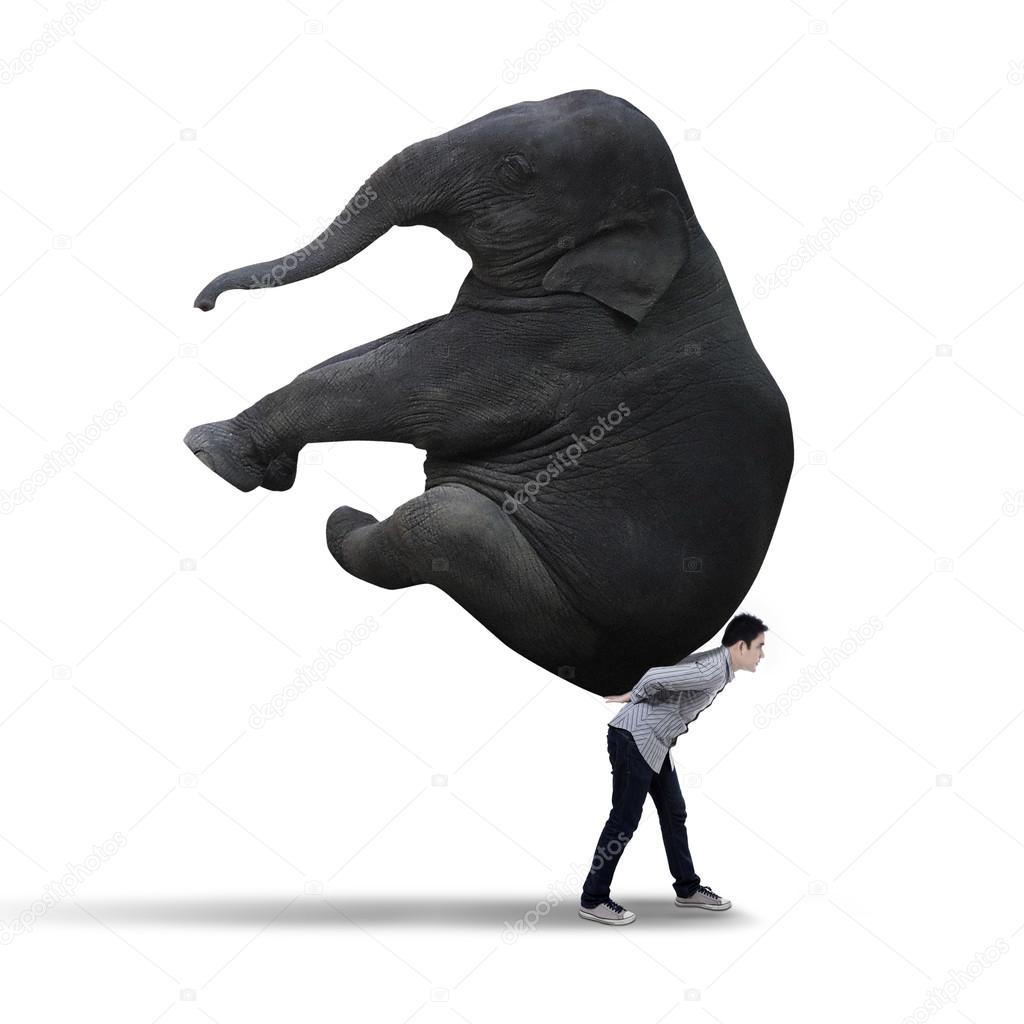Businessman carrying big elephant - isolated