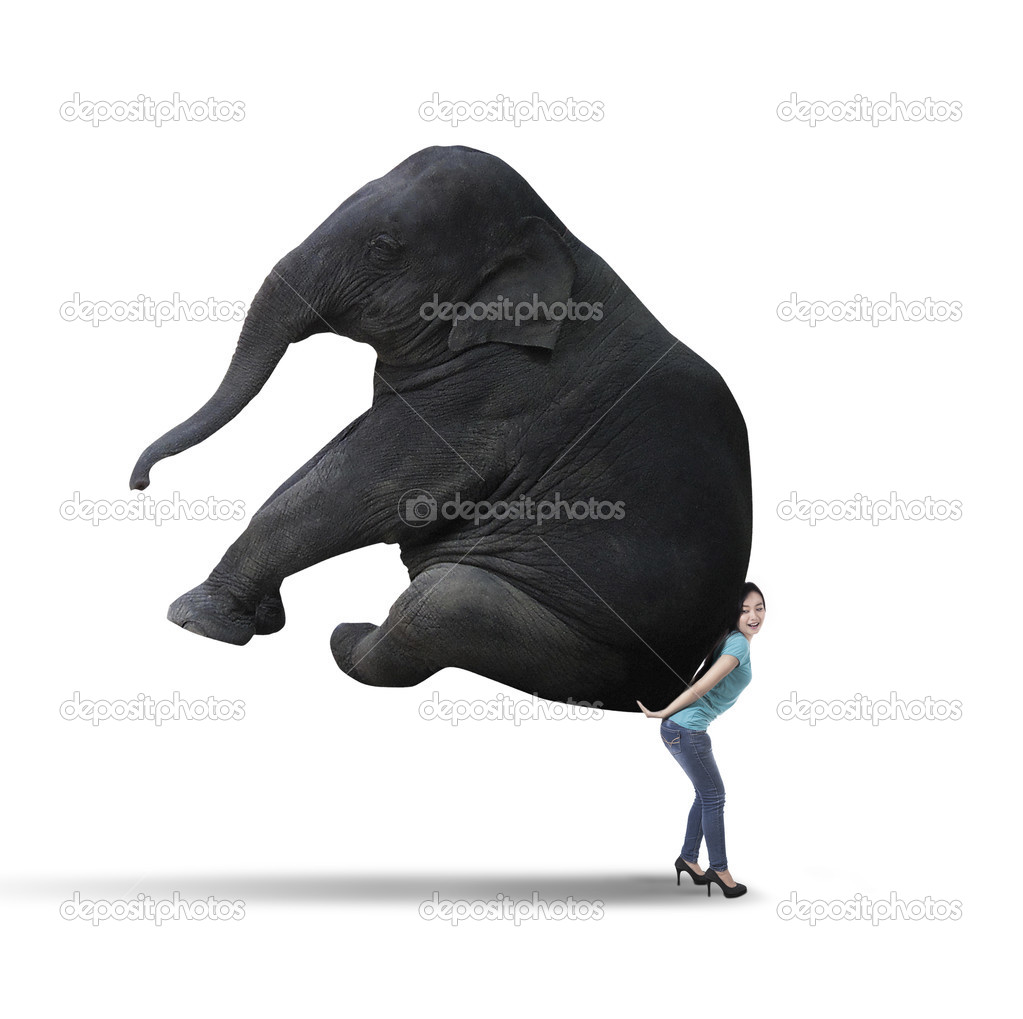 Woman carrying big elephant - isolated