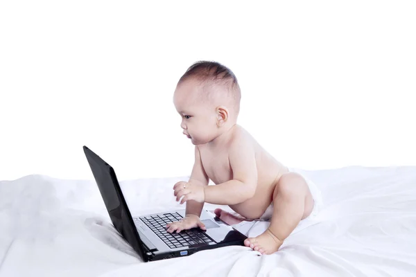 可爱的宝宝，笔记本电脑上工作 — 图库照片