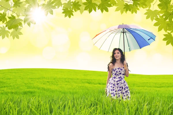 Beautiful woman holds umbrella in green field — Stock Photo, Image