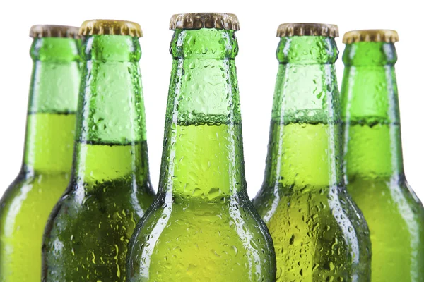 Cold beer bottles — Stock Photo, Image