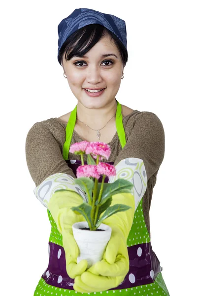 Florista segurando e mostrando uma flor — Fotografia de Stock