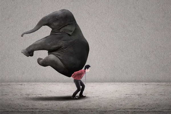 Businessman carry elephant on grey - leadership concept — Stock Photo, Image