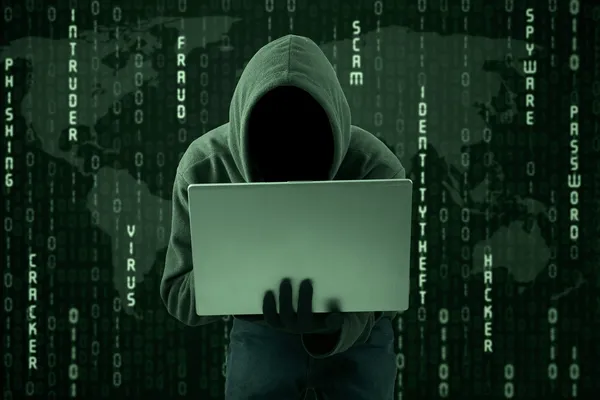 Stealing online information — Stock Photo, Image