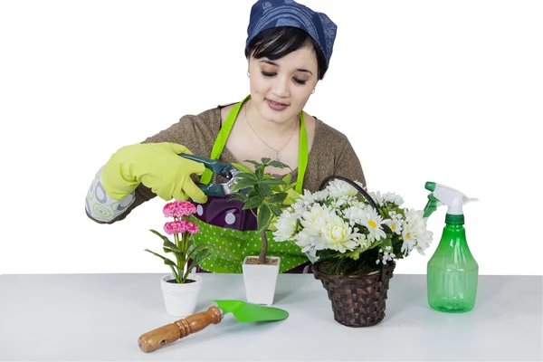 女性の花屋 — ストック写真