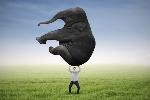 Man lifting heavy elephant — Stock Photo, Image