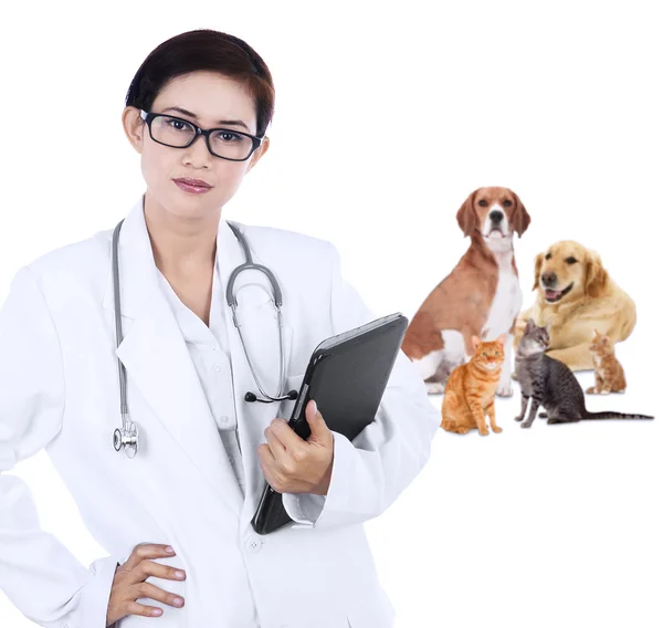 Asiático veterinário segurando comprimido — Fotografia de Stock
