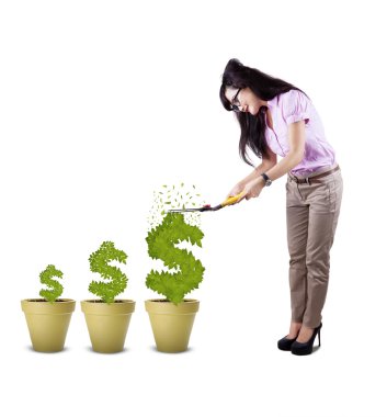 izole işkadını kesim tesisi