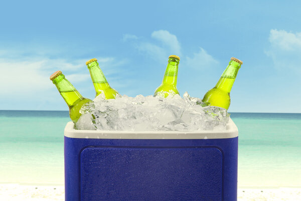 Beer bottles in ice box