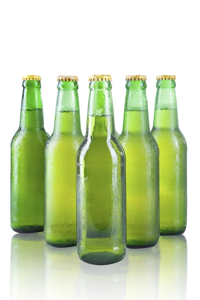 Birra fresca — Foto Stock