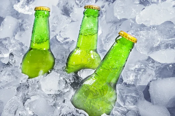 Three bottles of beer on ice — Stock Photo, Image