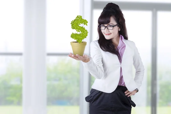 Femme d'affaires détient arbre d'investissement — Photo