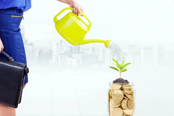 Close Businesswoman Hands Watering Money Tree Glass Jar While Standing — Stock fotografie