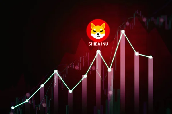 Close Growth Financial Graph Shiba Inu Coin Virtual Screen Background — Stock Photo, Image