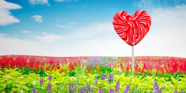 Close Lollipop Candy Shaping Heart Symbol Flowers Garden Blue Sky — Stock Photo, Image